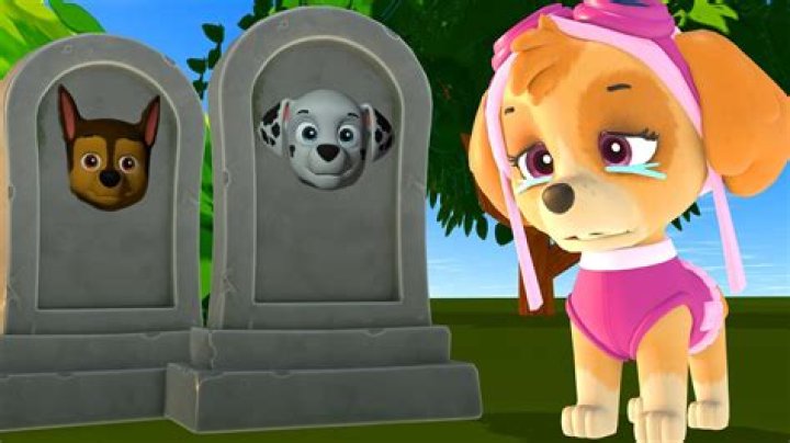 How Did Chad Atkins Die? Chad Atkins Cause of Death, Paw Works Co-Founder