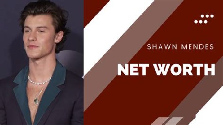 
How Much Money Does Shawn Mendes Make? Latest Income Salary
