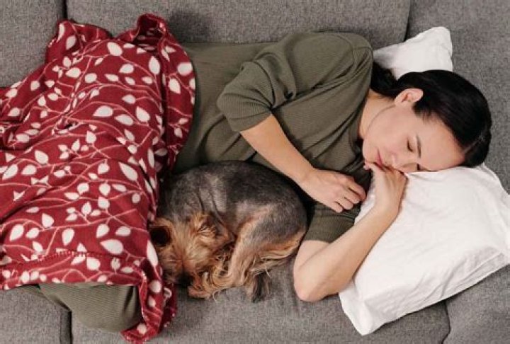I can’t control my desire to sleep with dogs – Nigerian lady begs for help