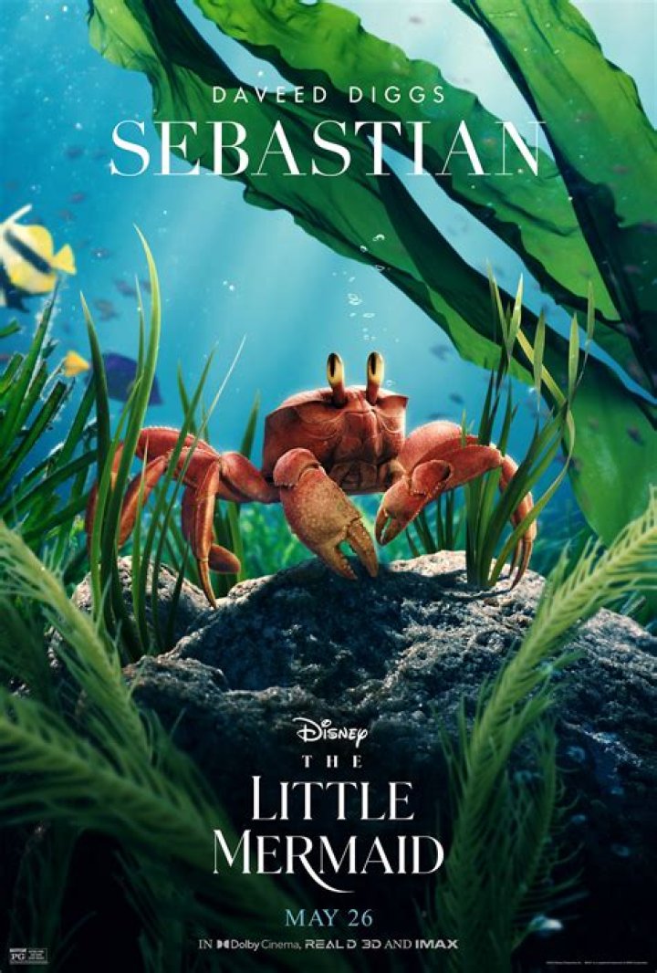 What accent does Sebastian from The Little Mermaid have? – Celebrity