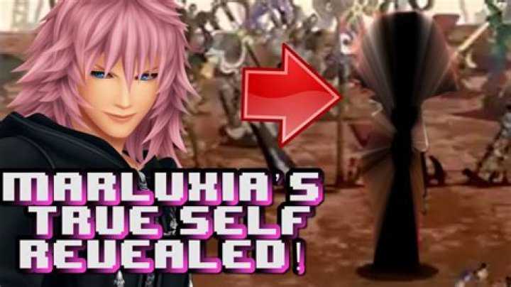 What is marluxia’s real name? – Celebrity