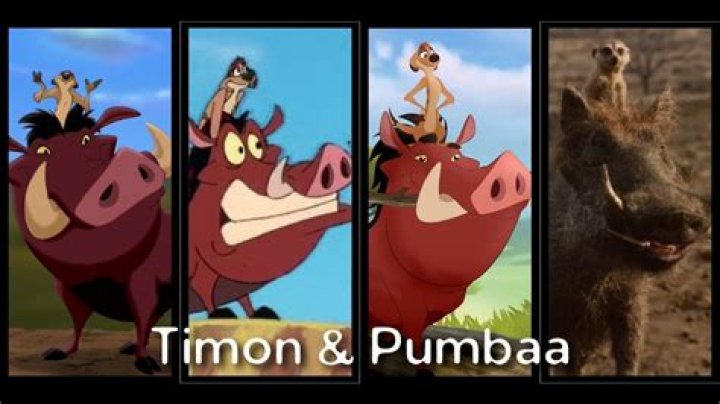 What is the meaning Pumbaa? – Celebrity