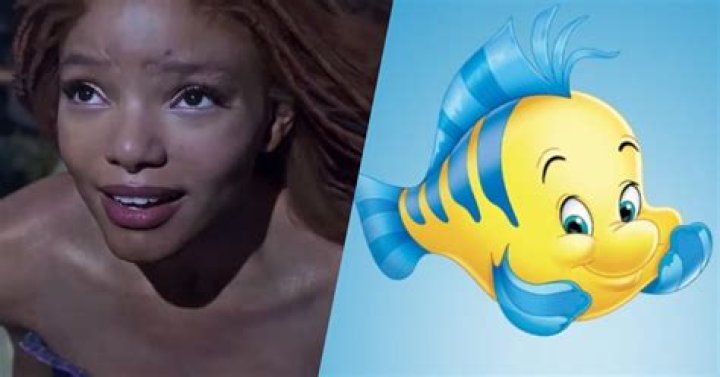 What kind of fish is Cleo from Pinocchio? – Celebrity
