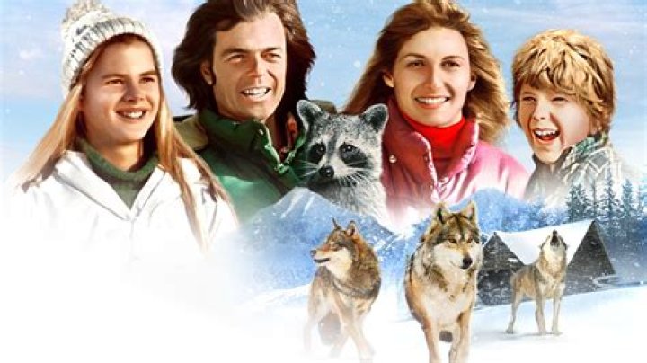 Which dog dies in 8 below? – Celebrity
